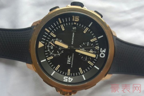 二手达尔文特别版万国表海洋时计系列IW379503手表展示图